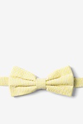 Chamberlain Check Yellow Pre-Tied Bow Tie Photo (0)