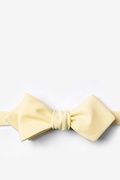 Denver Yellow Diamond Tip Bow Tie Photo (0)