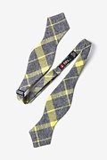 Kirkland Yellow Diamond Tip Bow Tie Photo (1)