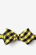 Pasco Yellow Diamond Tip Bow Tie Photo (0)