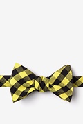 Pasco Yellow Self-Tie Bow Tie Photo (0)