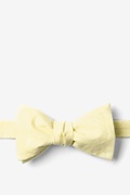 Yellow Catalina Self-Tie Bow Tie Photo (0)
