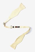 Yellow Catalina Self-Tie Bow Tie Photo (1)