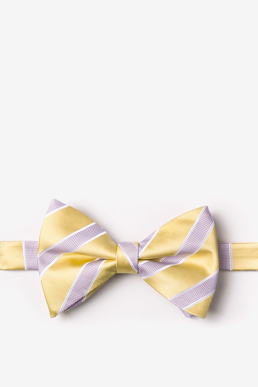 Jefferson Stripe Yellow Pre-Tied Bow Tie Photo (0)