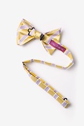 Jefferson Stripe Yellow Pre-Tied Bow Tie Photo (1)