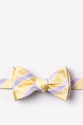 _Jefferson Stripe Yellow Self-Tie Bow Tie_