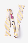 Jefferson Stripe Yellow Self-Tie Bow Tie Photo (1)