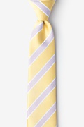 Jefferson Stripe Yellow Skinny Tie Photo (0)