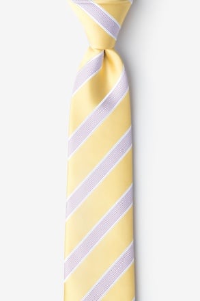 _Jefferson Stripe Yellow Skinny Tie_