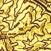 Yellow Microfiber Smokey Mountains Skinny Tie