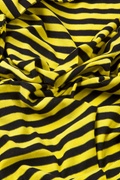 Yellow Traveling Stripe Scarf Photo (0)