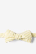Yellow Kensington Seersucker Batwing Bow Tie Photo (0)