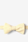 Yellow Kensington Seersucker Self-Tie Bow Tie Photo (0)