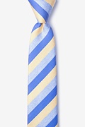 Deel Yellow Skinny Tie Photo (0)