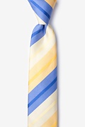 Finn Yellow Skinny Tie Photo (0)