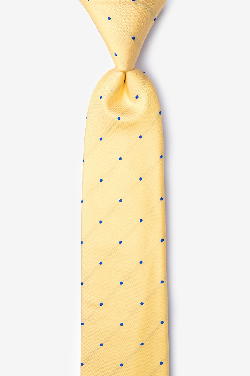 Griffin Yellow Skinny Tie Photo (0)