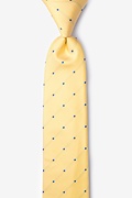 Griffin Yellow Skinny Tie Photo (0)
