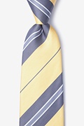 Inny Yellow Extra Long Tie Photo (0)