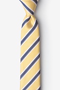 Melville Yellow Skinny Tie Photo (0)