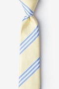 Pioneer Yellow Skinny Tie Photo (0)