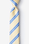 Wales Yellow Skinny Tie Photo (0)