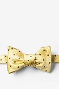 Yellow with Brown Dots Self-Tie Bow Tie Photo (0)