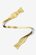 Yellow with Brown Dots Self-Tie Bow Tie Photo (1)
