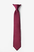 Zinfandel Clip-on Tie For Boys Photo (0)